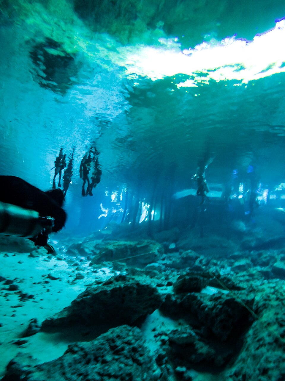 Cenote swimming in Quintana Roo